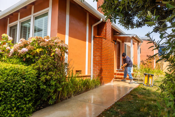 Best Pressure Washing Services Near Me  in Mccaysville, GA